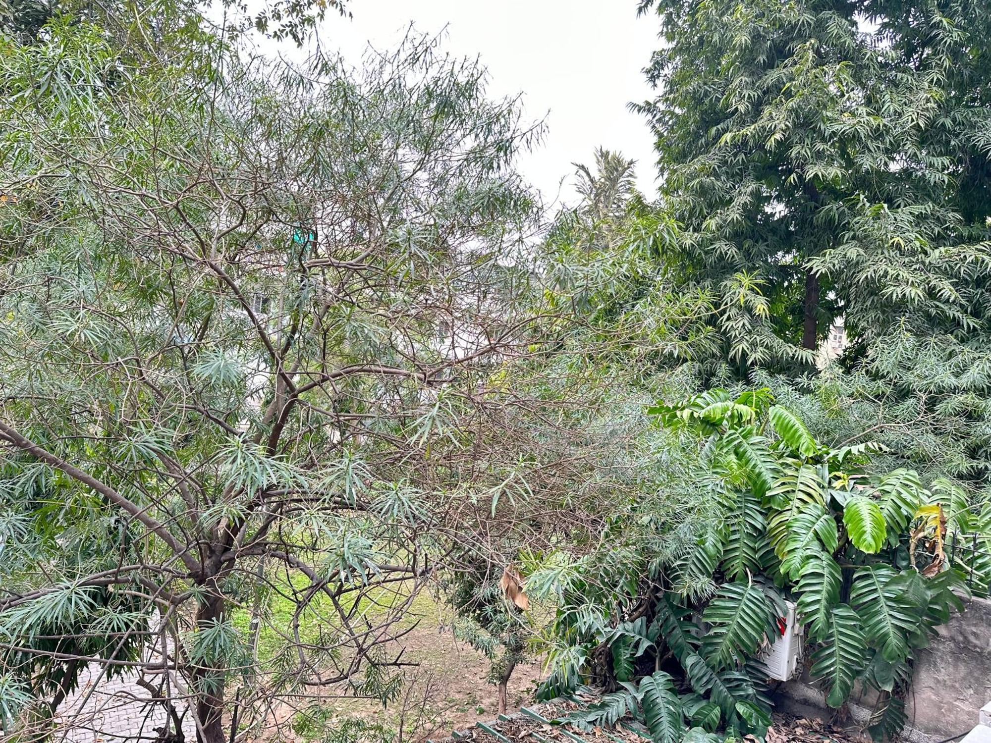 Grove Residency Hauz Khas New Delhi Couple Friendly Hotel Exterior foto